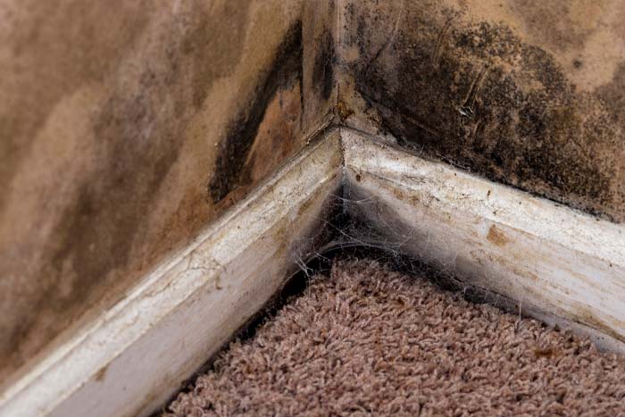 Indoor air quality plays a major role in overall health ad